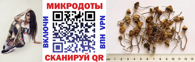 Псилоцибиновые грибы мухоморы  купить наркоту  Выборг 